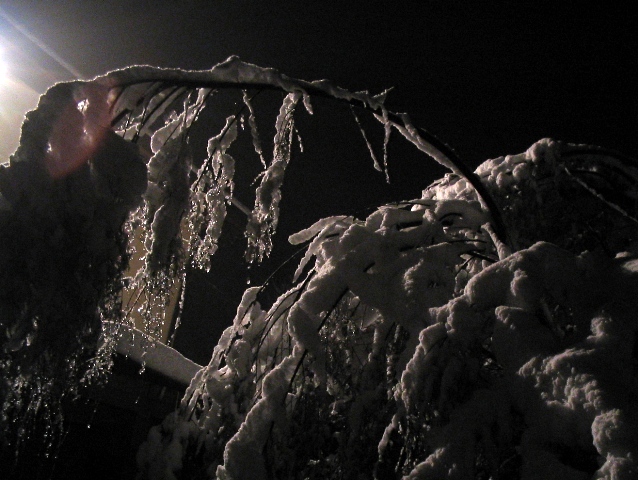 Bianco d''autunno
